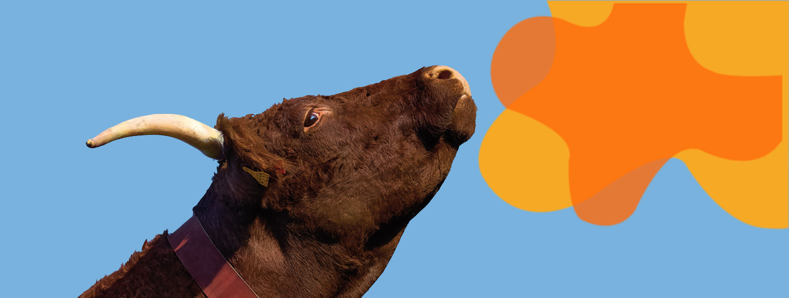 Salon International de l'agriculture février 2023